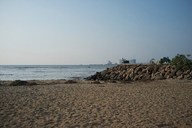 Half Day Kochi City Tour and a Kathakali Classical Dance Performance - The Sum Up