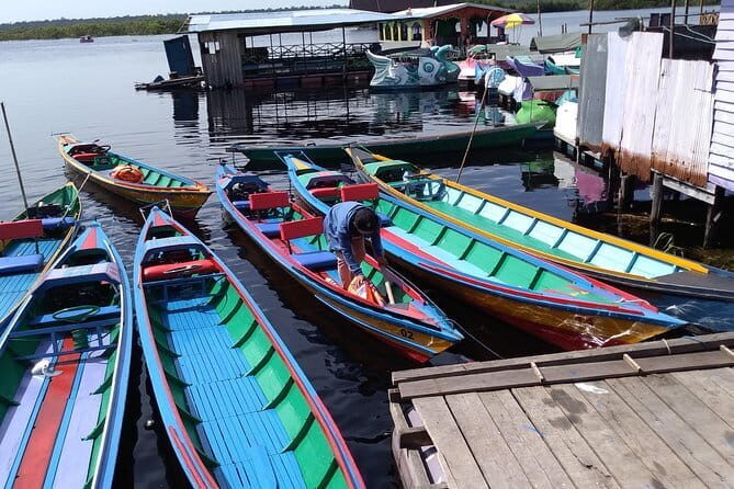 Half day Koran river tour - Sabangau national park - What Travelers Can Expect