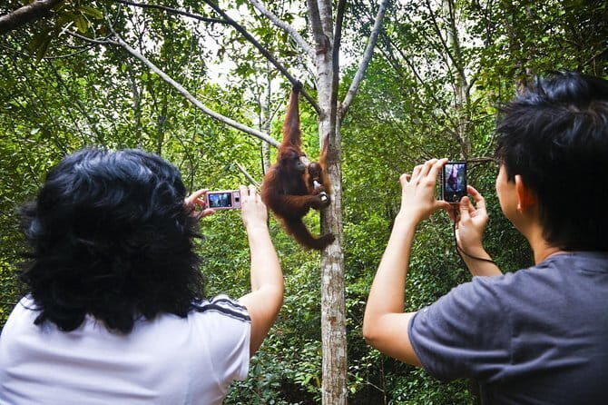 Half-Day Kuching City Tour - Why This Tour Offers Good Value