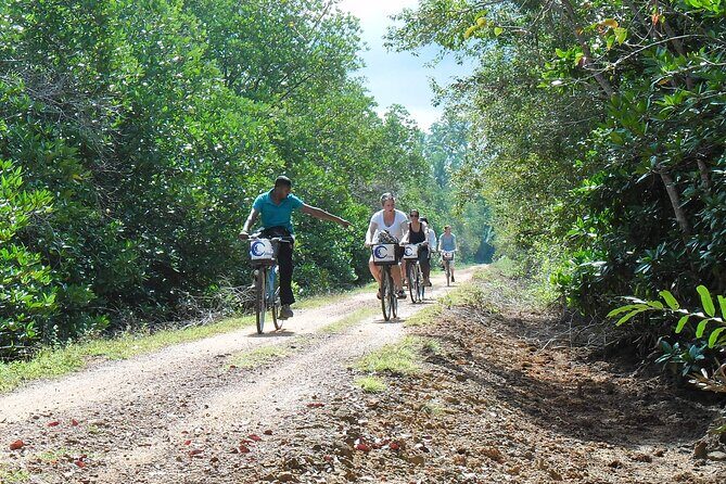 Half-Day Lagoon and Village Cycling Tour in Galle - Who Will Love This Tour?