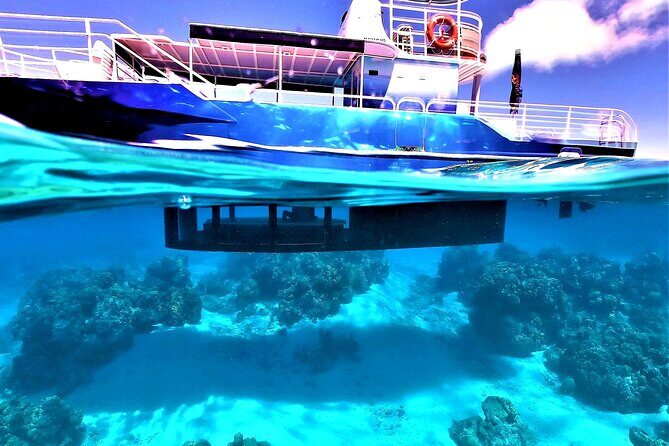 Half day lagoon safari tour in Bora Bora- Shared tour - FAQ