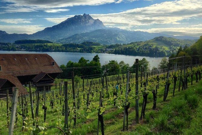 Half-Day Lake Lucerne Country Walk - Key Points