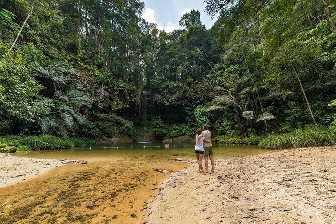 Half-Day Lambir Hills National Park Tour from Miri - Key Points