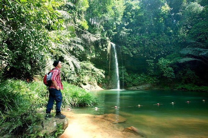 Half-Day Lambir Hills National Park Tour from Miri - From Miri to Lambir Hills: What to Expect