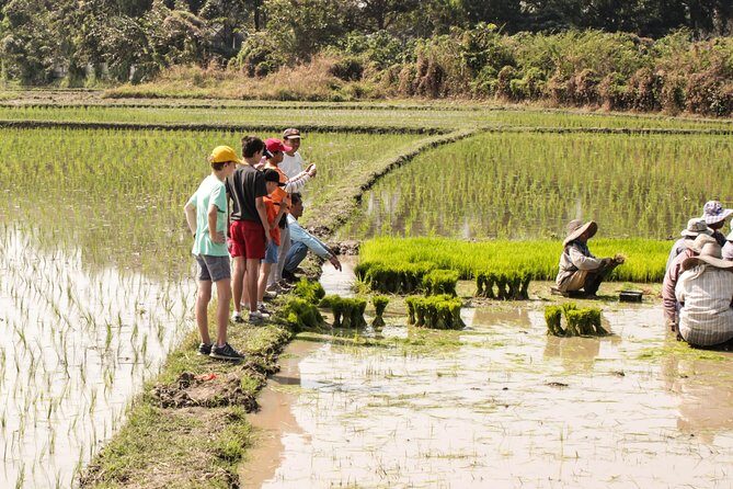 Half-Day Lanna Countryside Cycling Tour in Chiang Mai - An In-Depth Look at the Chiang Mai Countryside Cycling Experience