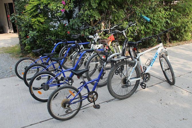 Half-Day Lanna Countryside Cycling Tour in Chiang Mai - Who Will Love This Tour?
