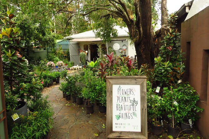 Half Day Learn to Surf Tour From Byron - FAQ