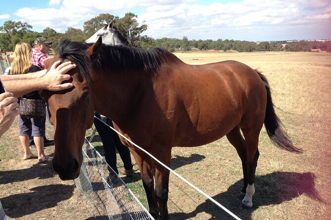 Half Day Living Legends tour with Devonshire Tea - The Itinerary in Detail