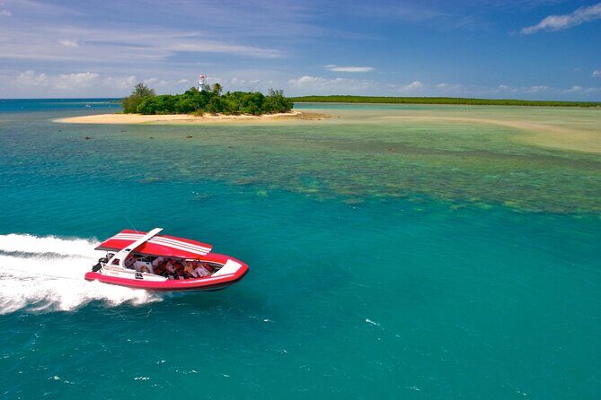 Half Day Low Island and Lagoon Snorkeling from Port Douglas - An Authentic and Practical Low Isles Experience