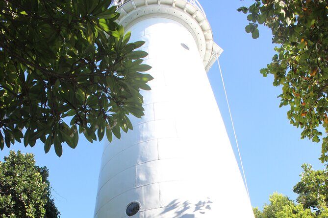 Half Day Low Island and Lagoon Snorkeling from Port Douglas - Who Would Enjoy This Tour Most?