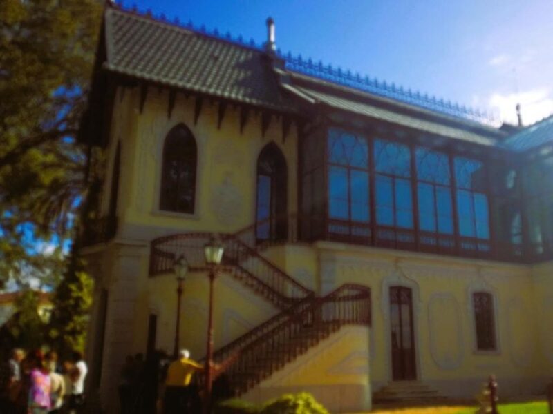 Half-day Lusitanian Horses & Photography Museum private tour - Final Thoughts