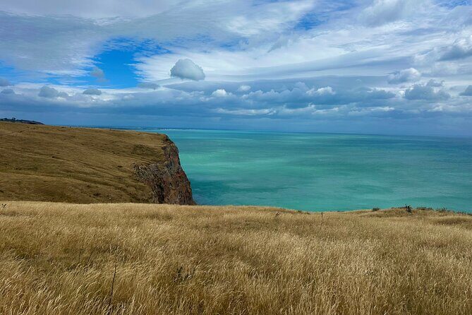 Half Day Luxury Private Guided Crater Rim Walk - The Sum Up