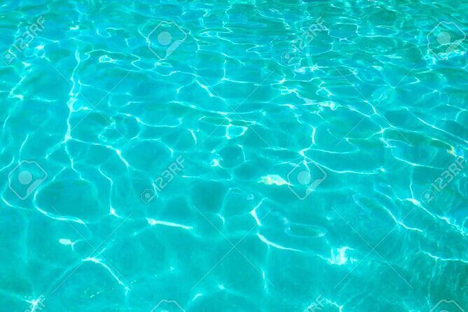 Half Day Luxury Sailing Experience in Riviera Maya with Open Bar - Logistics and Practical Details