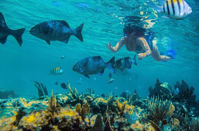 Half-Day Luxury Sailing in Puerto Morelos with Open Bar - FAQs