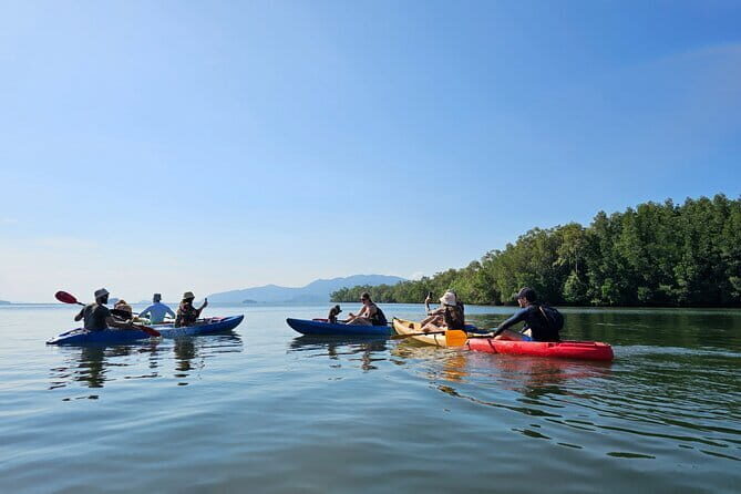 Half Day Mangrove and Lanta Old Town Tour - Exploring Ko Lanta’s Half Day Mangrove and Old Town Tour: An In-Depth Look