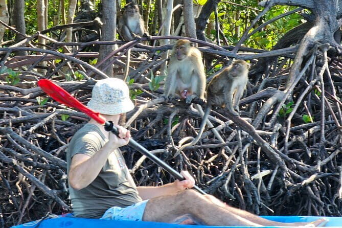 Half Day Mangrove and Lanta Old Town Tour - Key Points