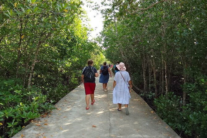 Half Day Mangrove and Lanta Old Town Tour - Visiting Lanta Old Town: A Cultural Pause