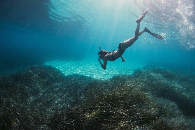 Half Day Mangrove and Lanta Old Town Tour - Authentic Experiences and Insights from Travelers