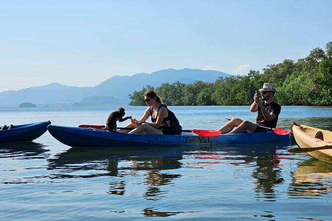 Half Day Mangrove and Lanta Old Town Tour - The Sum Up: Who Is This Tour Perfect For?