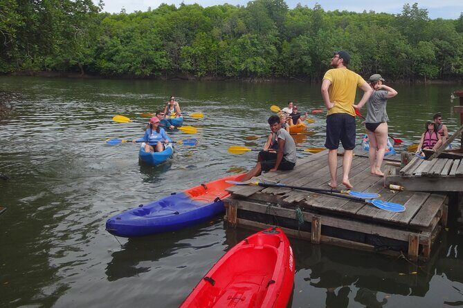 Half day Mangrove by Kayaking or Longtail boat from Koh Lanta - An In-Depth Look at the Tour Itinerary