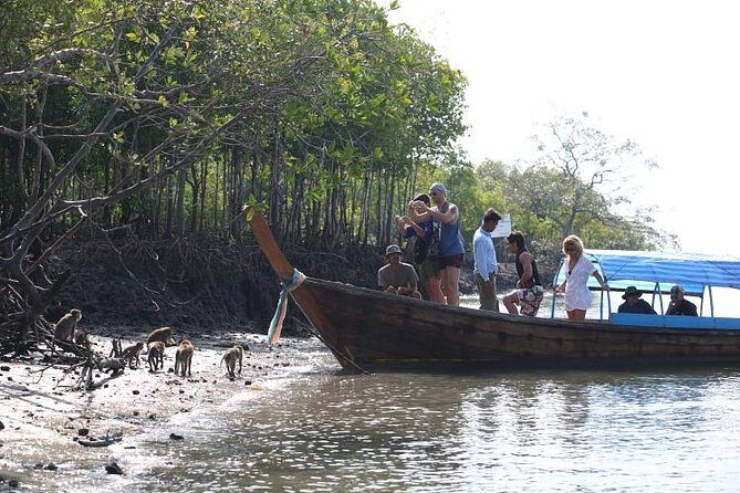 Half day Mangrove by Kayaking or Longtail boat from Koh Lanta - The Final Verdict: Who Would Love this Tour?