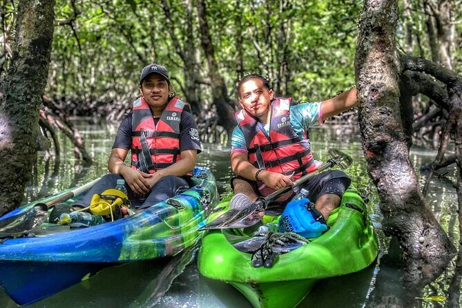Half-Day Mangrove Kayaking in Langkawi - The Itinerary Breakdown: What You Can Expect