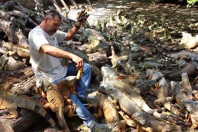 Half-day Manzanillo City Tours - Discovering Manzanillo: A Practical Guide to the Half-day City Tour