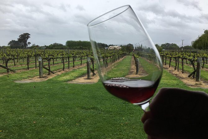 Half-Day Marlborough Wine Tour & Beer Tour - Key Points