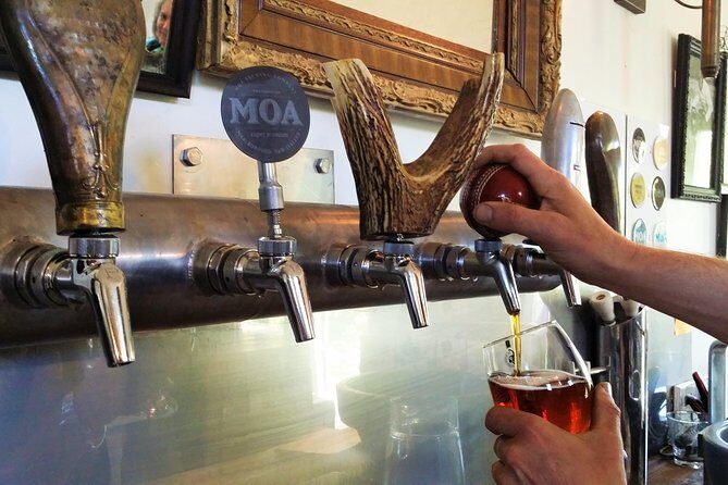 Half-Day Marlborough Wine Tour & Beer Tour - The Value Proposition: Is it Worth It?