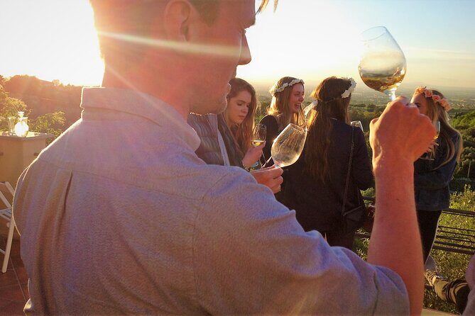 Half-Day Minardi Wine and Food Tour in Frascati - The Vineyard and Farmhouse Experience at Minardi Winery