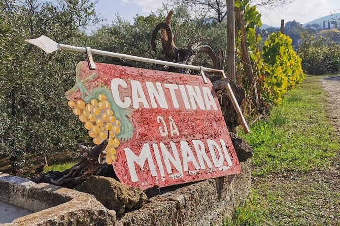 Half-Day Minardi Wine and Food Tour in Frascati - The Sum Up