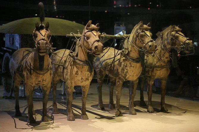 Half-Day Mini Group Xian Tour to Terracotta Warriors Museum - Authentic Insights from Reviews