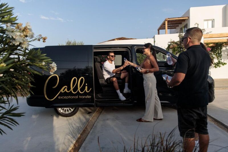 Half-Day Minivan Rental with Driver - Why Choose the Half-Day Minivan Rental in Naxos?