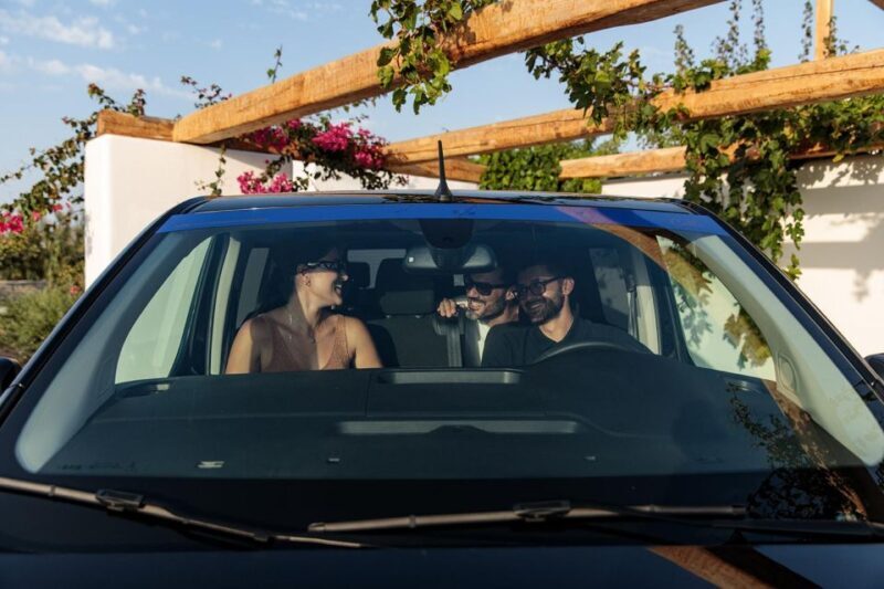 Half-Day Minivan Rental with Driver - Who Is This Tour Best Suited For?