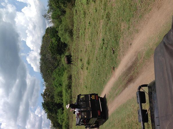 Half Day - Minneriya National Park Safari Tour From Habarana/Sigiriya - Detailed Review of the Minneriya Safari Tour