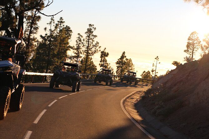Half Day Morning Buggy Tour in Teide National Park - The Value of This Buggy Tour