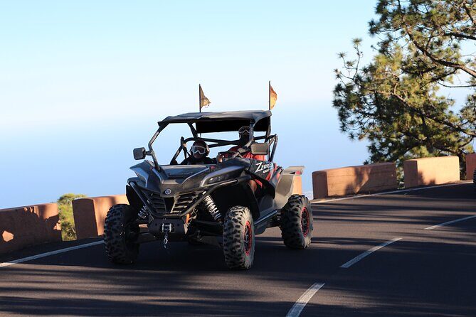 Half Day Morning Buggy Tour in Teide National Park - FAQs