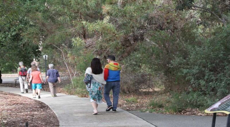 Half-Day Morning Perth & Fremantle City Explorer - What You Should Consider