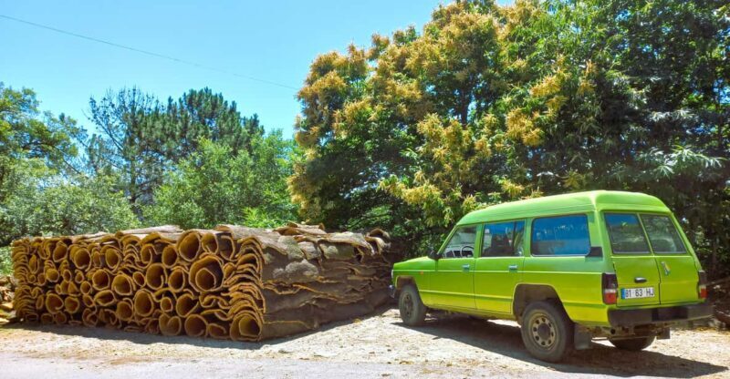 Half-Day Mountain Jeep Safari with firewater tasting - Key Points