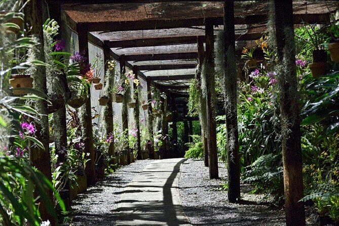 Half Day Mudpools, Veseisei Fijian Village, Gardens of Sleeping Giants &Shopping - The Sum Up