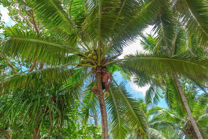 Half-Day Muri Lagoon BBQ Lunch Cruise including Snorkeling - Frequently Asked Questions