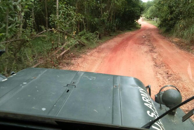 Half Day My Son Holy Land by Jeep from Hoi An - Key Points