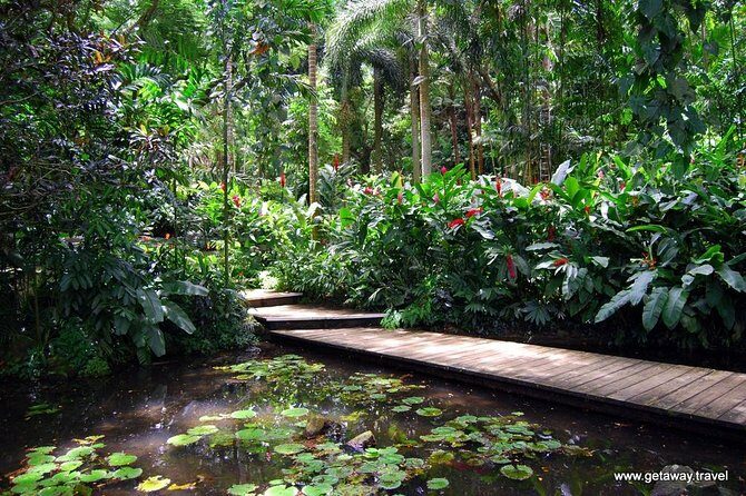 Half Day Nadi Sightseeing & Mud Pool Tour - Key Points