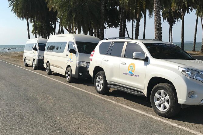 Half Day Nadi Sightseeing & Mud Pool Tour - Who Would Love This Tour?