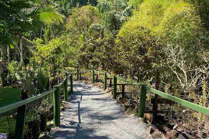 Half Day Nadi Tour Temple, Market, Gardens and Mud Pools - Key Points