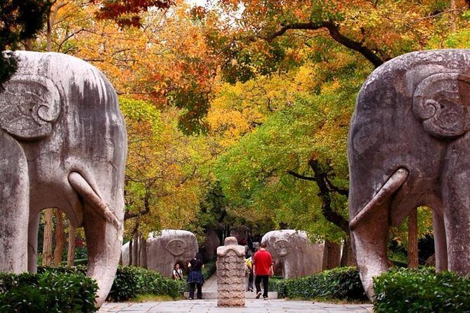 Half Day Nanjing City Private Flexible Tour with Night River Cruise - Start with Purple Mountain (Zijin Shan)
