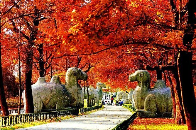 Half-Day Nanjing Purple Mountain Private Tour in Your Way - Exploring Nanjing’s Purple Mountain: A Practical & Authentic Half-Day Private Tour