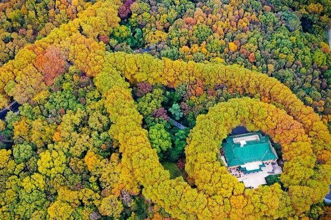 Half-Day Nanjing Purple Mountain Private Tour in Your Way - The Value of a Private, Tailored Tour