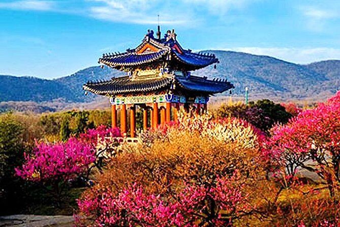 Half-Day Nanjing Purple Mountain Private Tour in Your Way - Final Thoughts