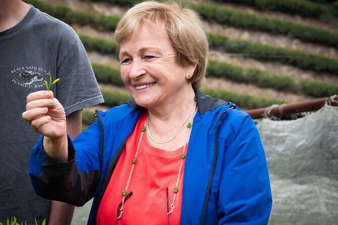 Half Day Nara and Matcha Farm Private Van Tour - Final Thoughts: Who Should Consider This Tour?